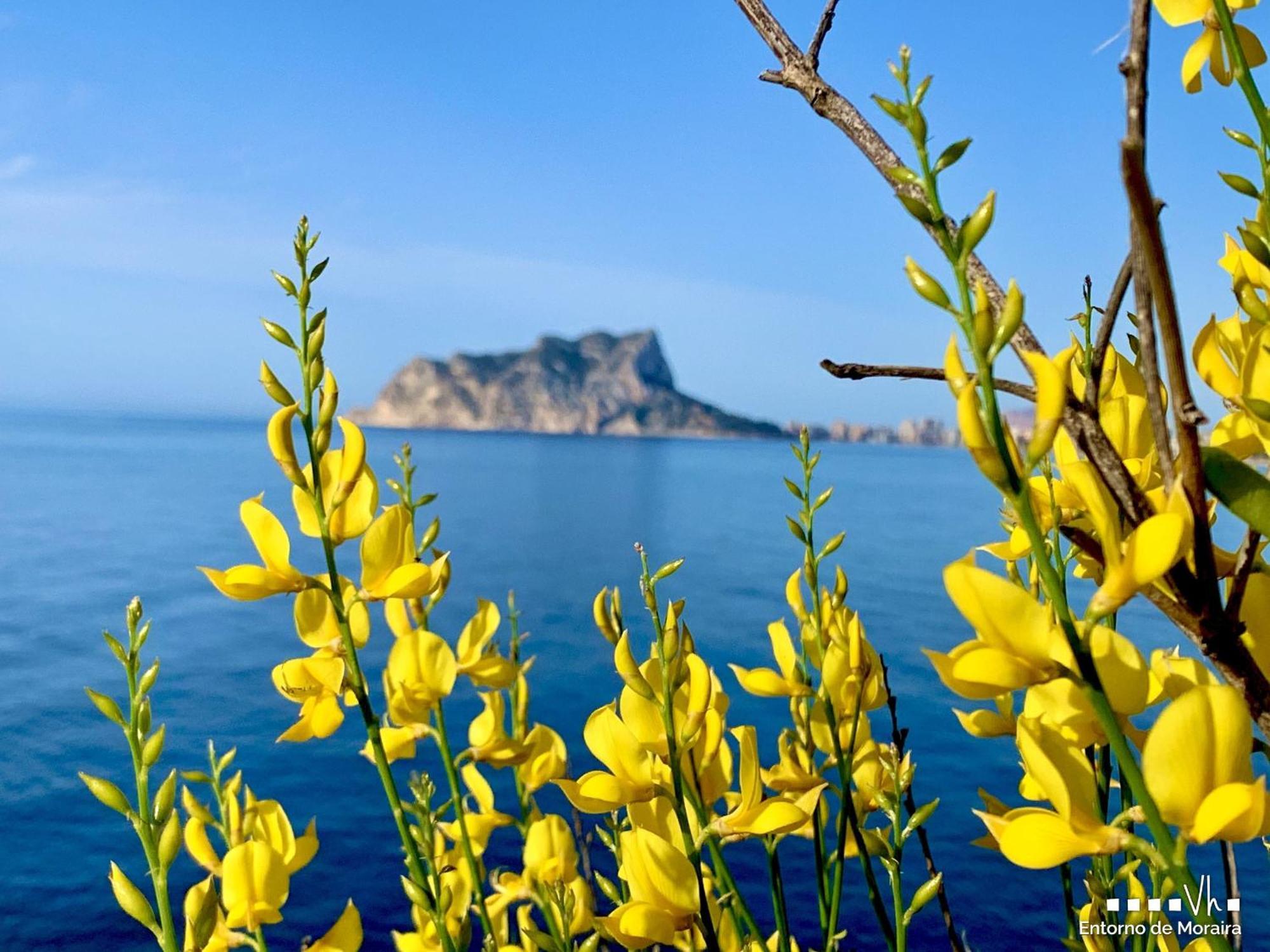 Vh Costablanca - Apartamento Riviera Moraira Bagian luar foto